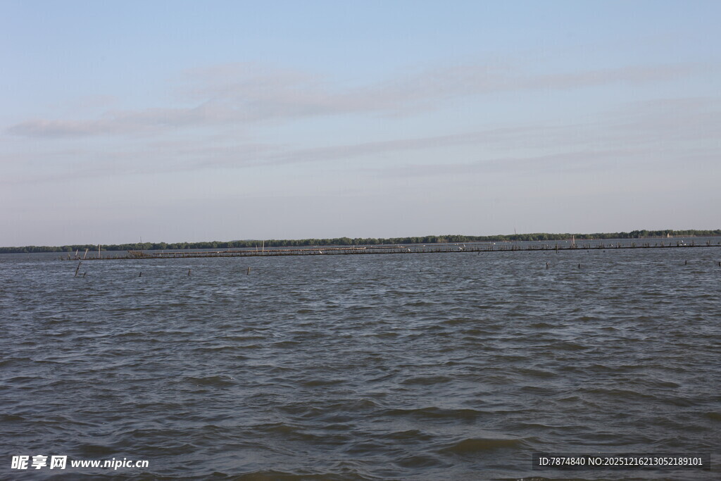 平静宽广的水域景观