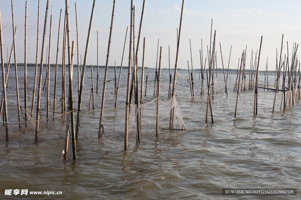 海上林立的木桩景观