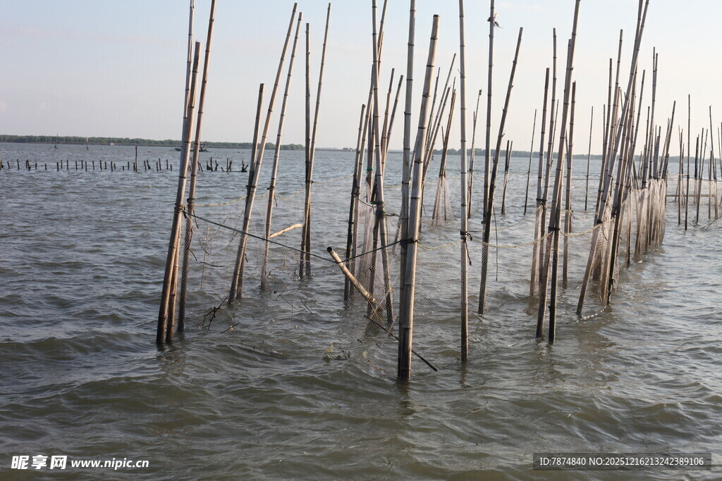海上林立的木桩景观