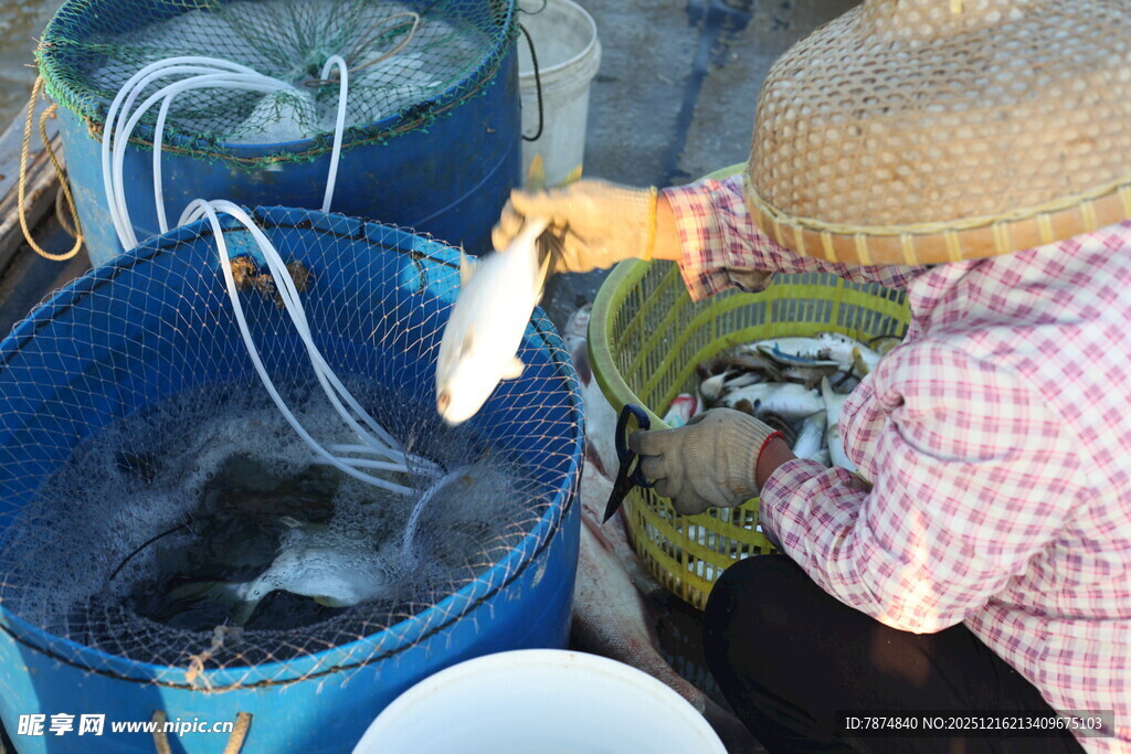 渔民手工处理捕获的鲜鱼