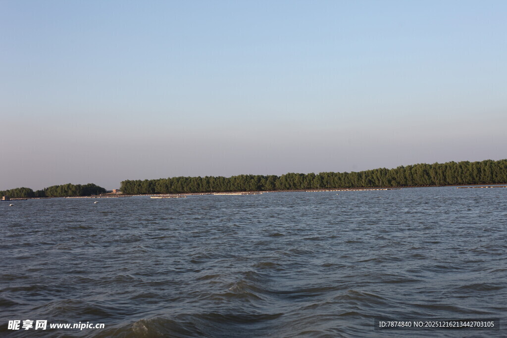 宁静湖面与远处林木景观