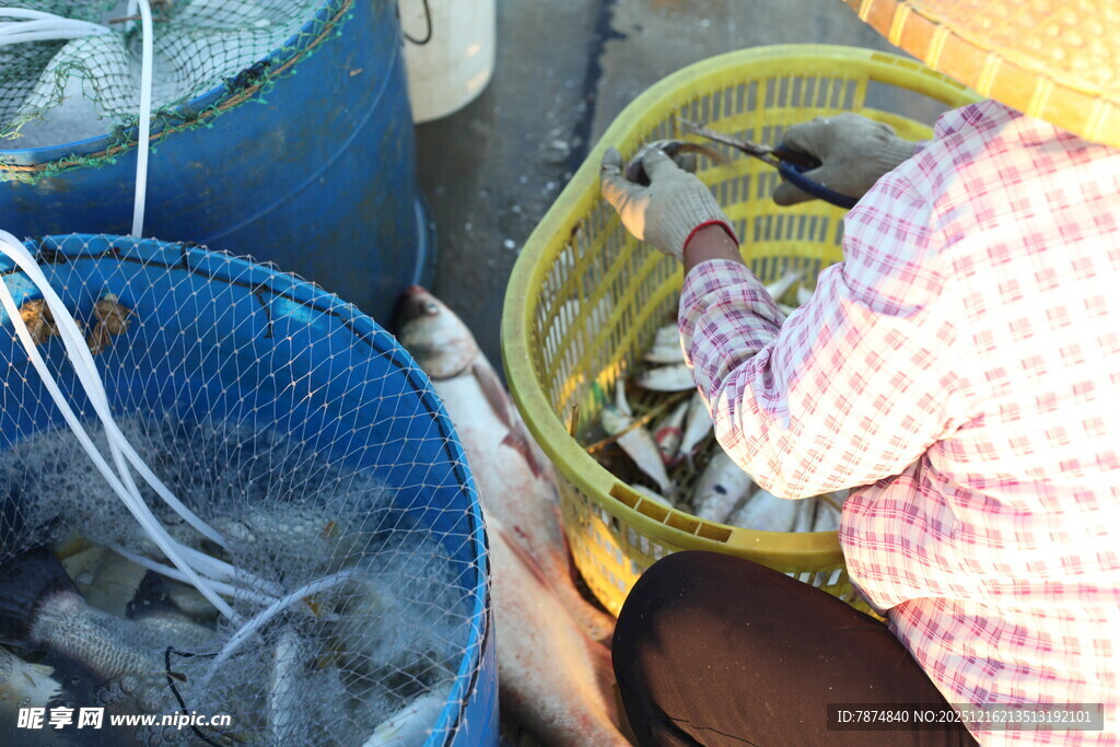 分拣鱼货