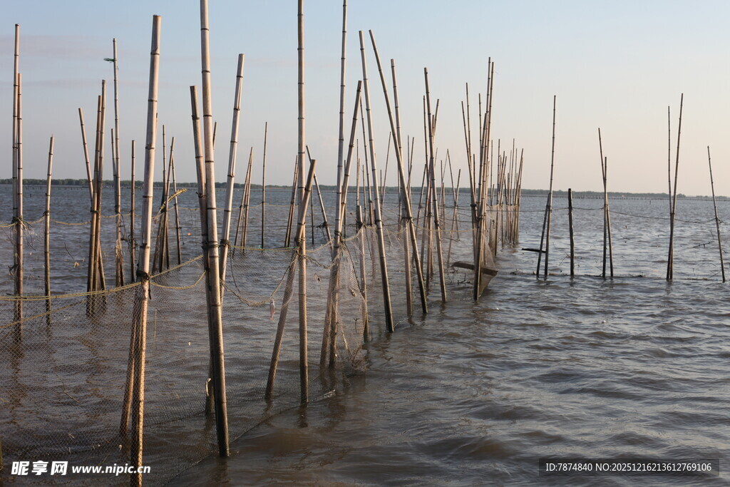 海上林立的竹竿景观