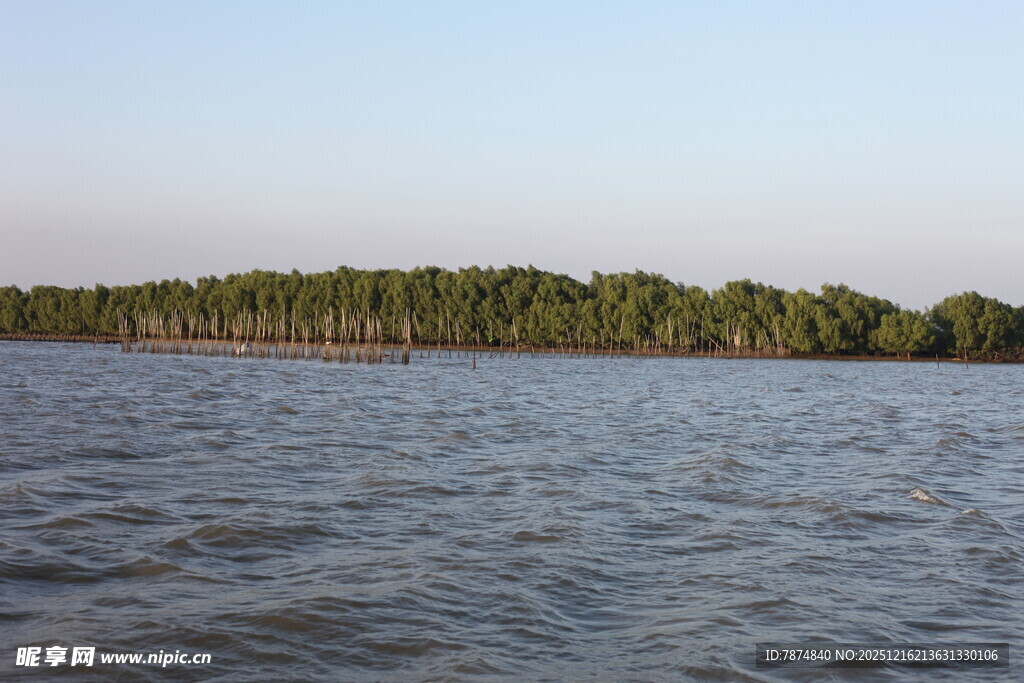 河畔树林与波光水面