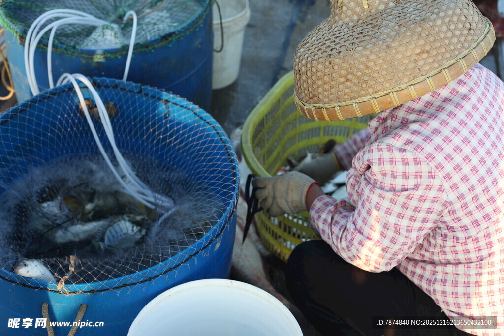 渔民售卖鲜活海鲜