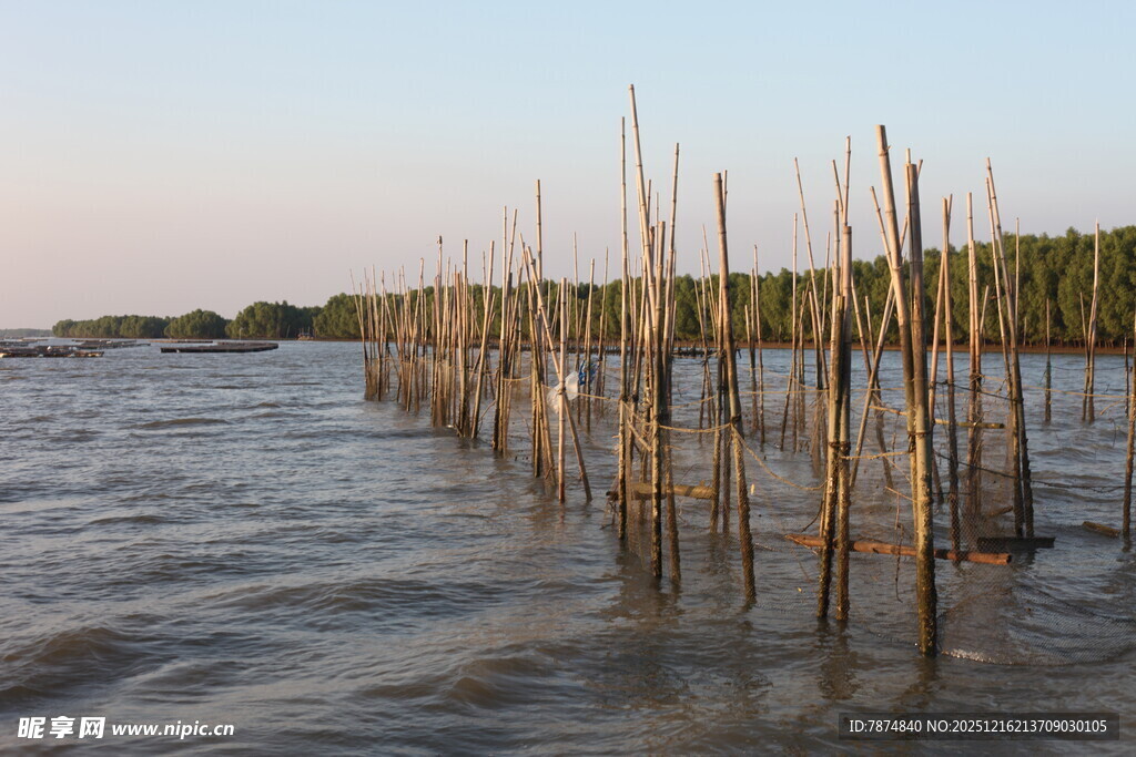 海上林立的木桩景观