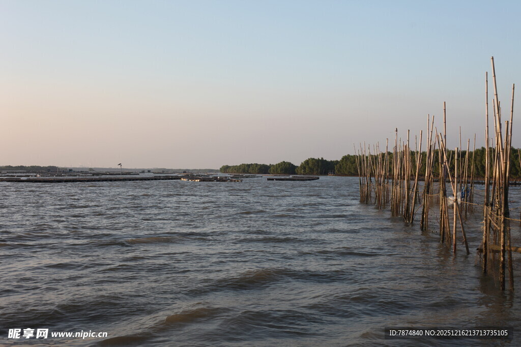 黄昏下的水边木桩景观