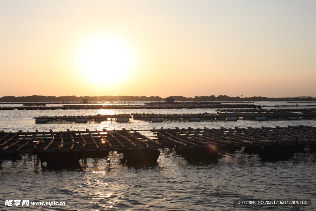 夕阳下的水上养殖场景