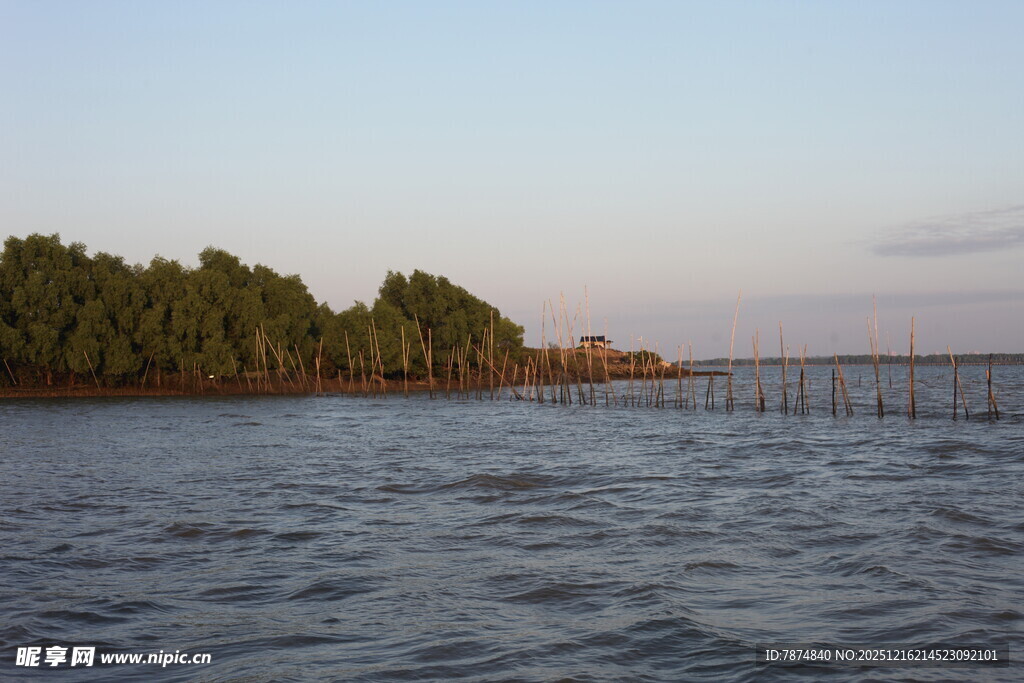 黄昏下的水域与岸边树林