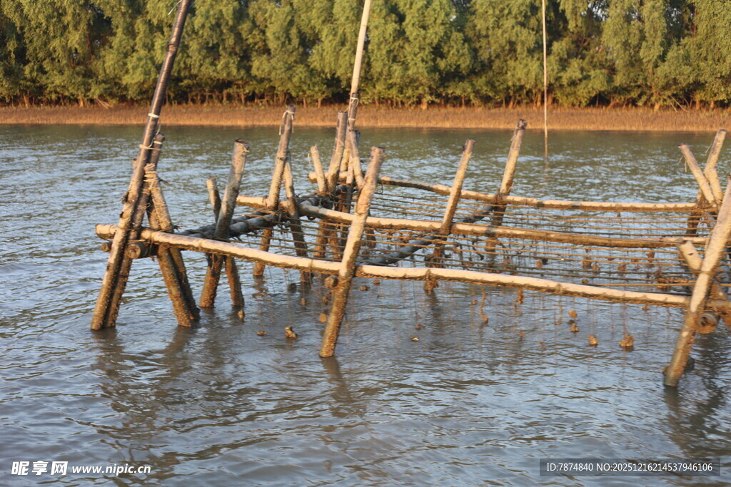 水中竹制简易搭建物