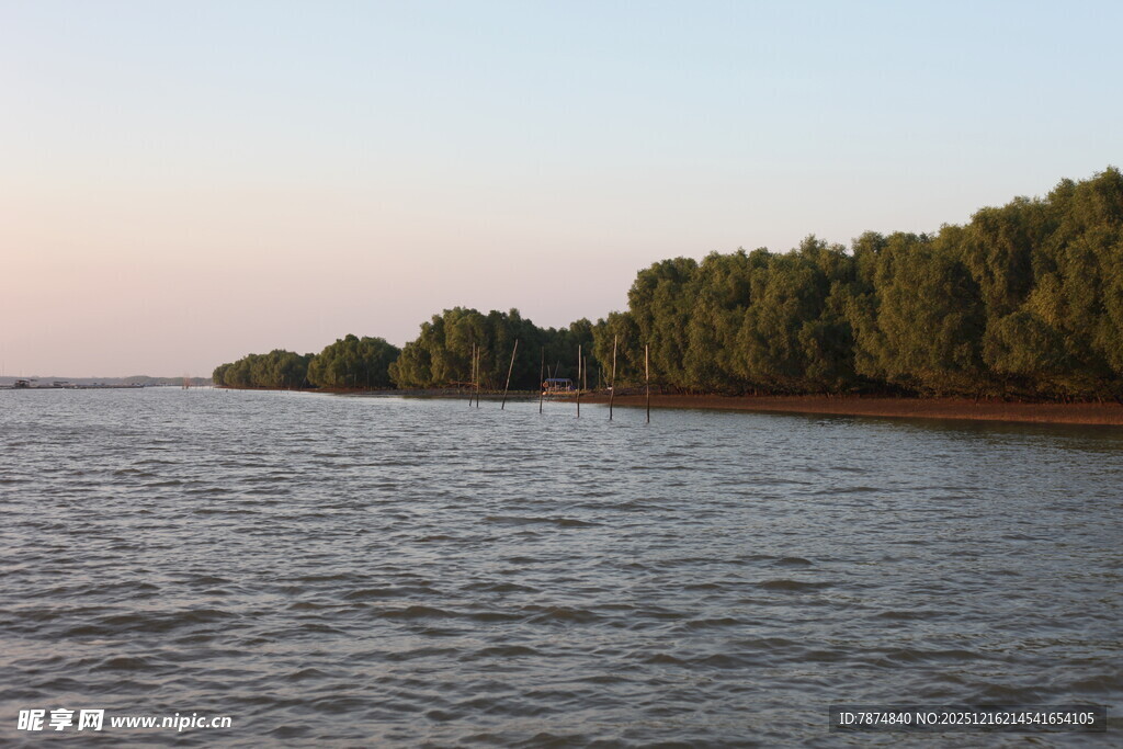 河畔树林与宁静水面景色