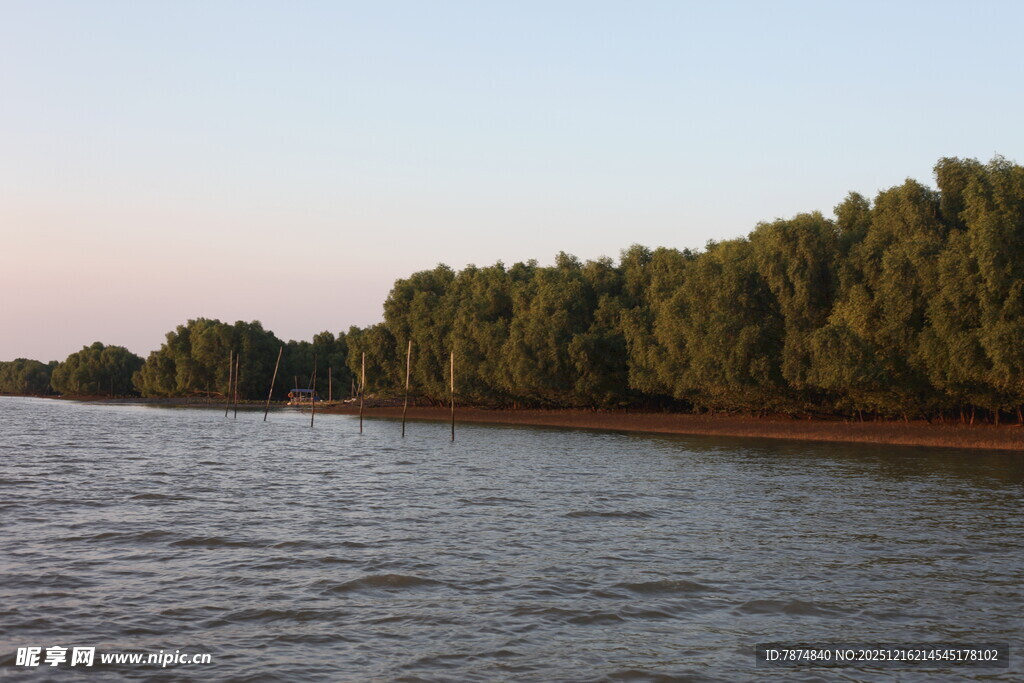 河畔树林与波光粼粼水面