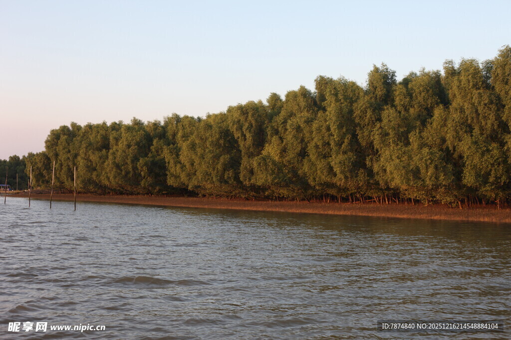 河畔绿树成荫的美丽景致
