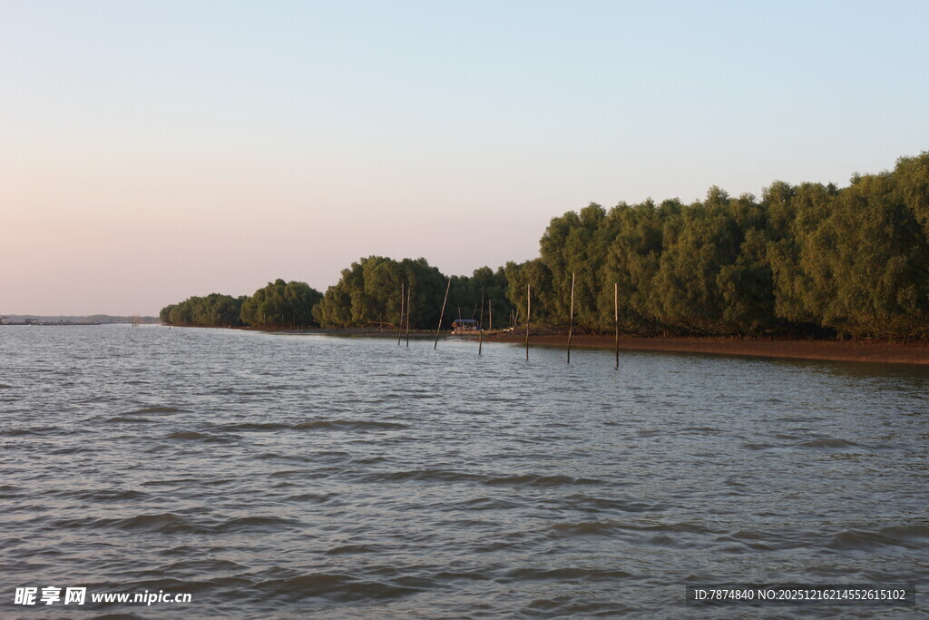 河畔树林与波光水域