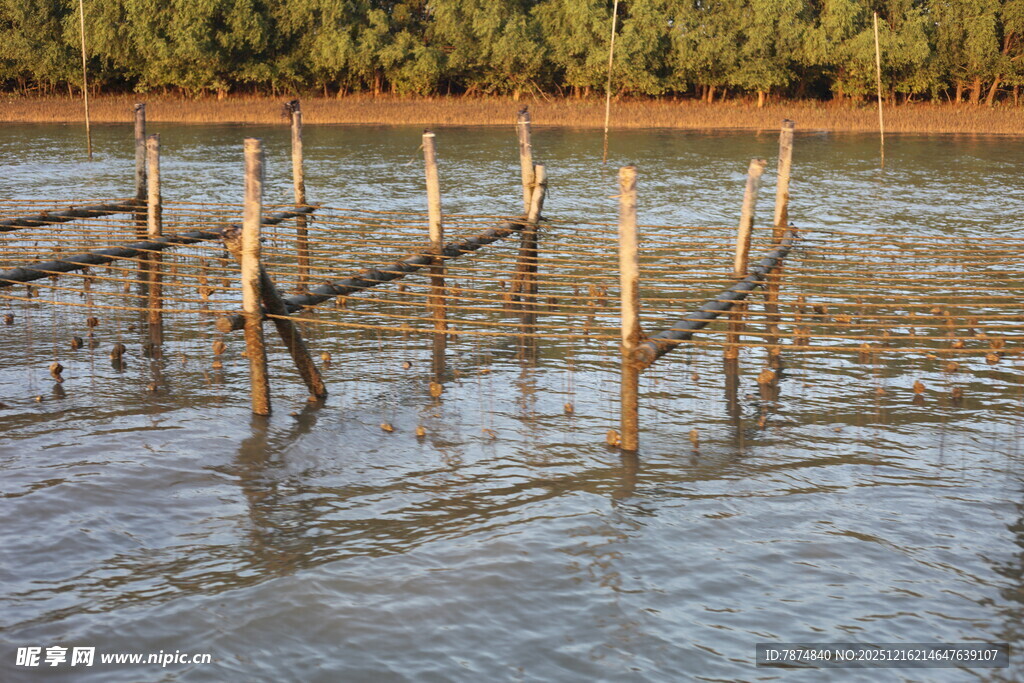 水中木桩搭建的简易设施