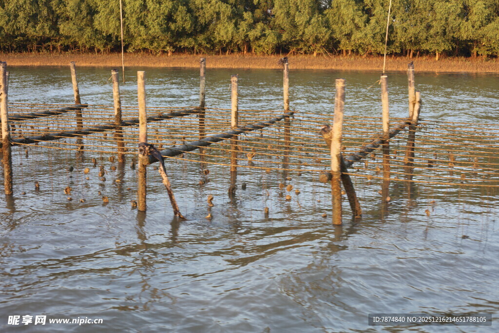 水中木桩搭建的简易结构