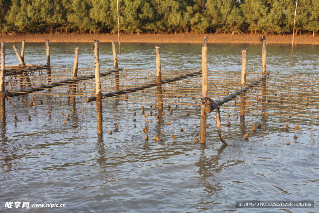 水上木桩设施景观