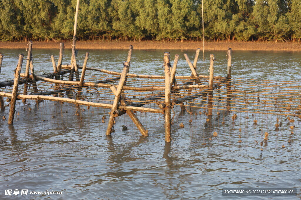 水中木架结构景观