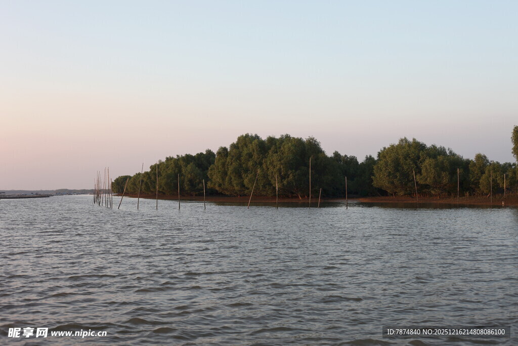 黄昏下的水域与岸边树林
