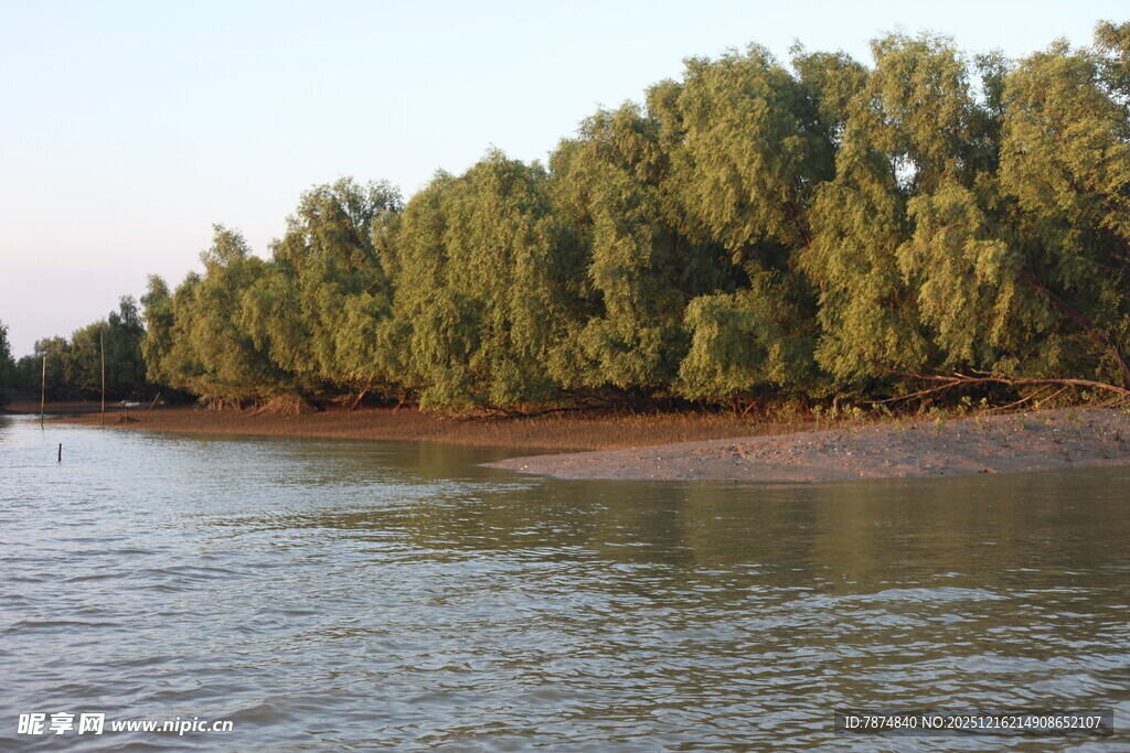 河畔绿树成荫的自然美景