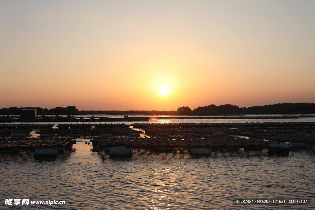 夕阳下的宁静水边景象