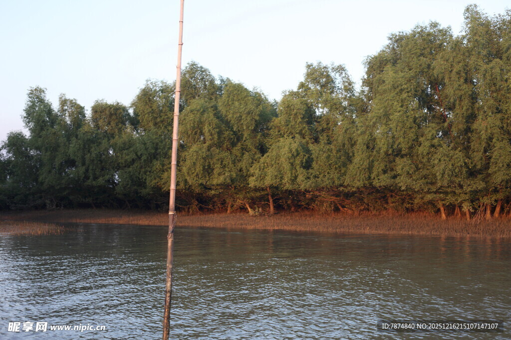 河畔绿树成荫的静谧风光