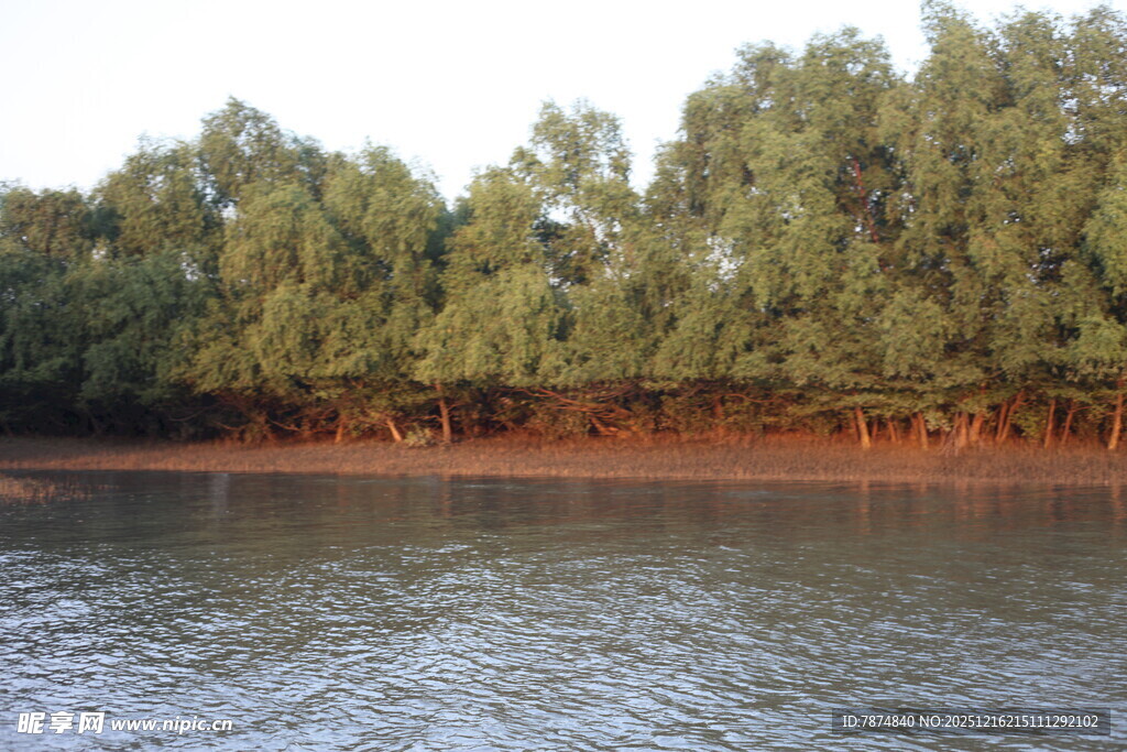 河畔绿树成荫的自然景致