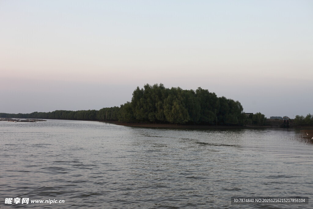 河畔暮色中的葱郁岛屿