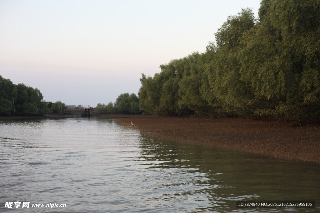 河畔绿树环绕的宁静水域