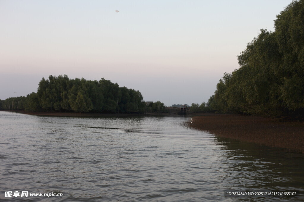 河畔暮色中的宁静水域