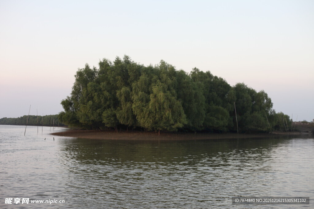 湖中小岛绿树成荫