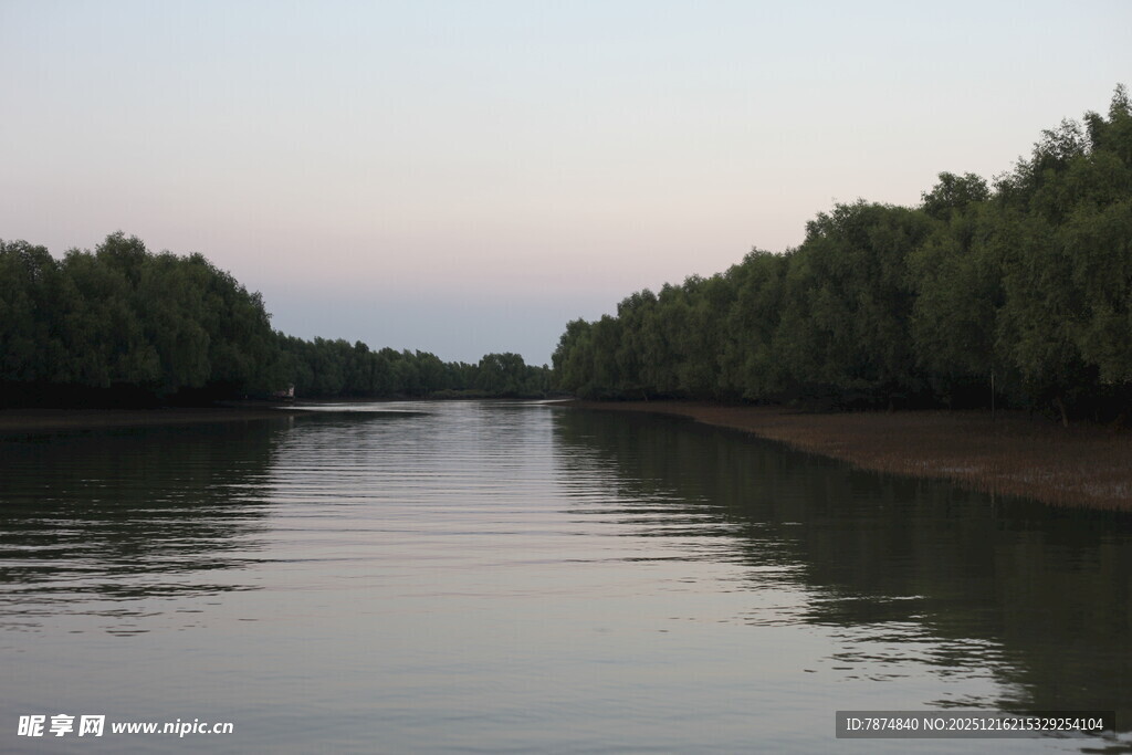宁静河畔绿树映于波光中