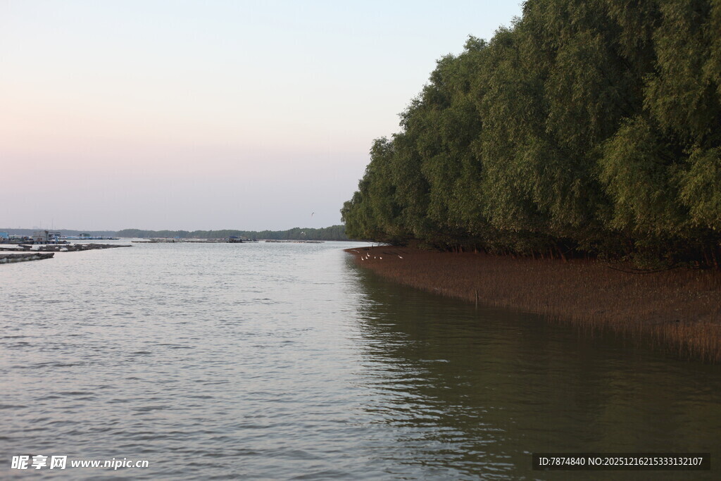 河畔绿树成荫的宁静风光