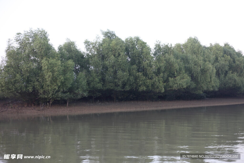 河岸绿树成荫的静谧景象