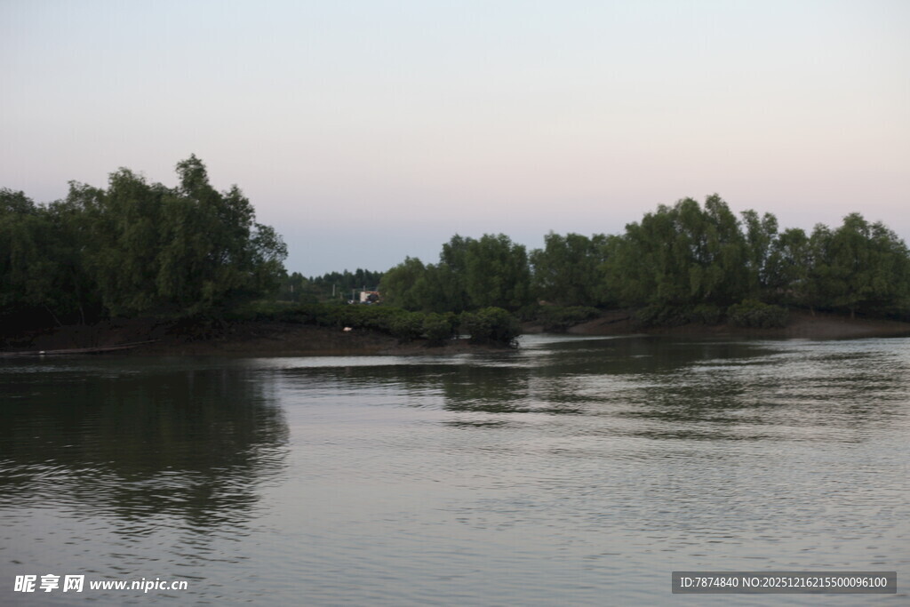 宁静河畔的葱郁树林