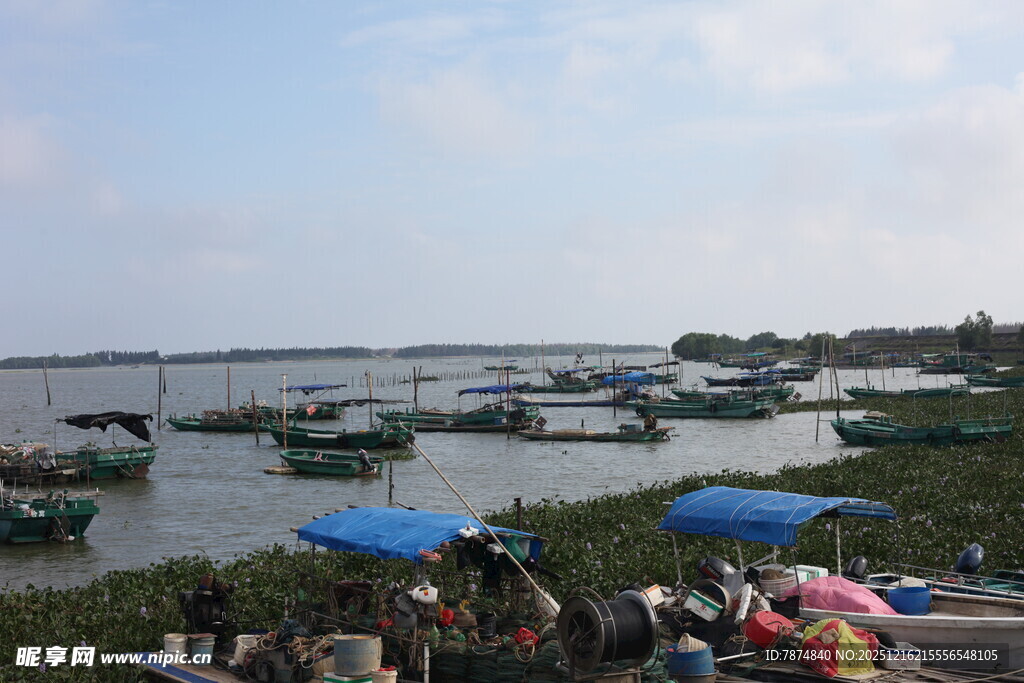 海滨渔村热闹的码头景象