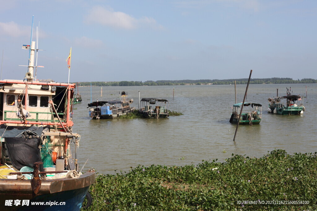 河畔停泊的多彩船只