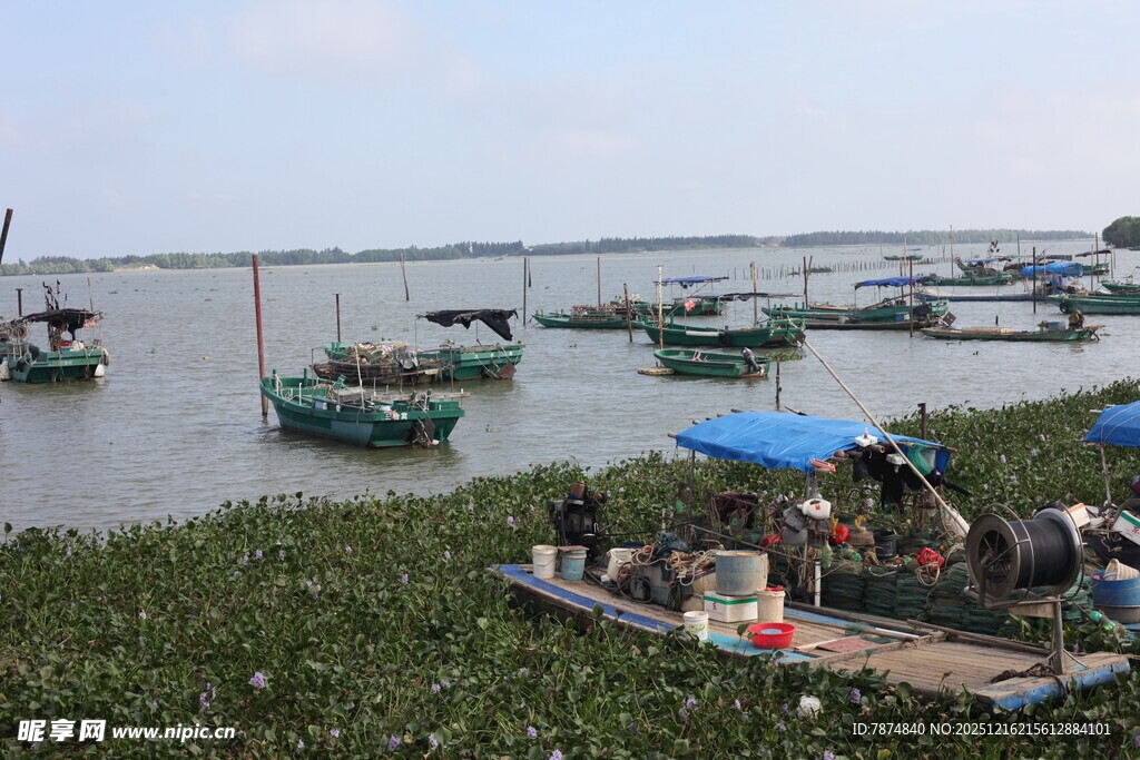 水乡停泊的渔船与岸边景致