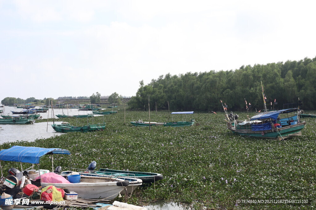 水乡停泊的多彩船只