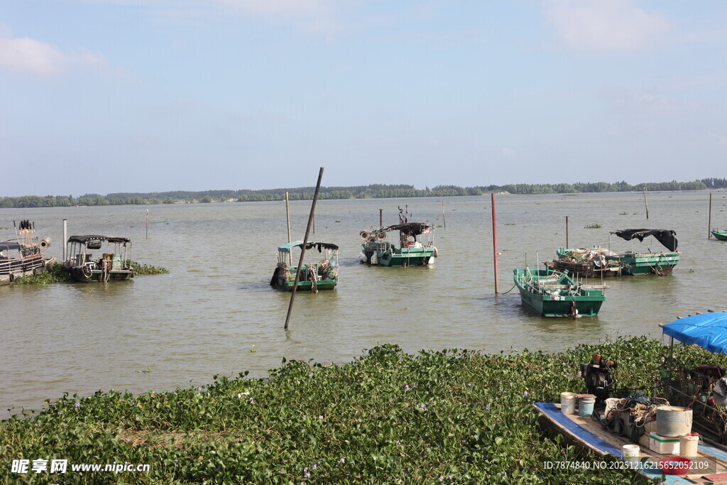 水乡渔船停泊景象