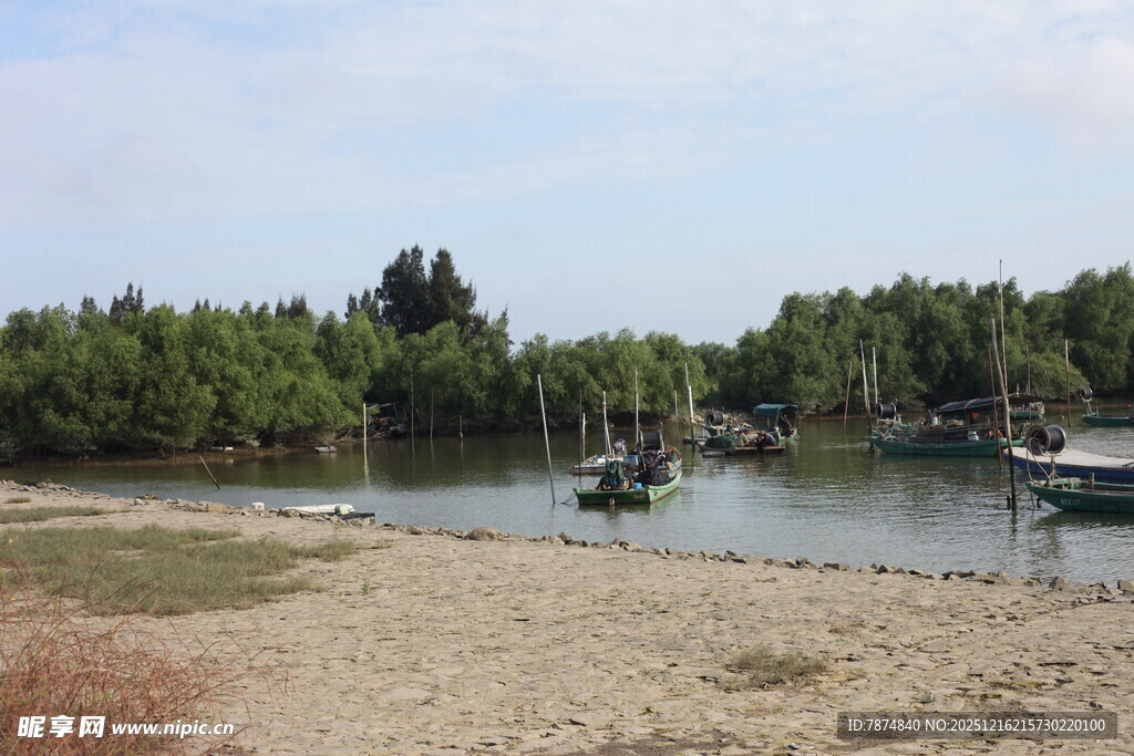 河畔船只与葱郁树林景观