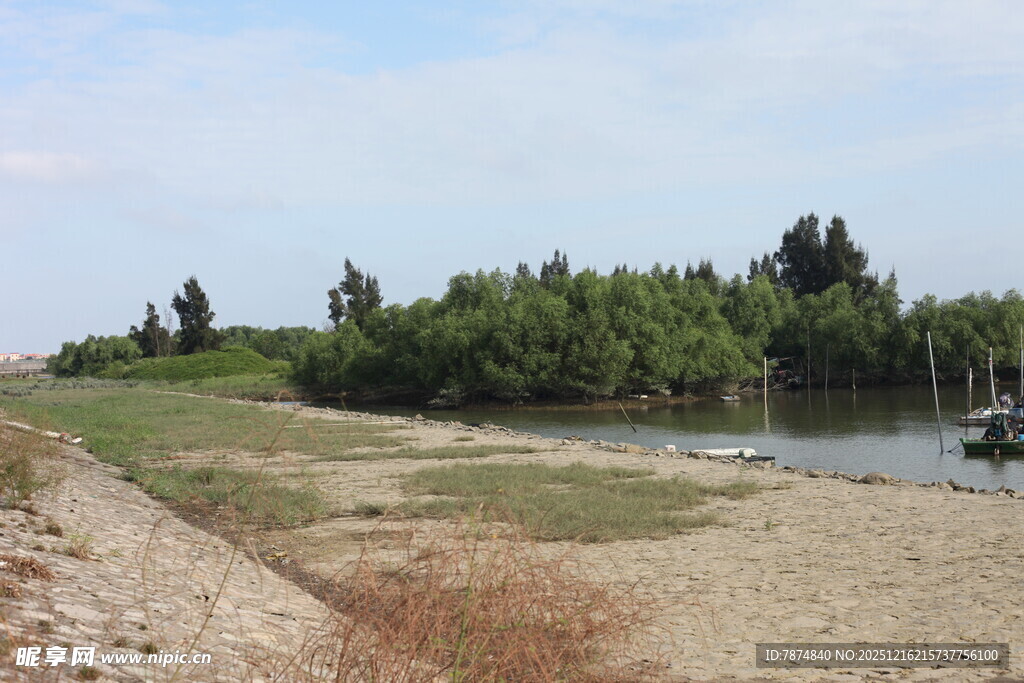 河畔自然风光景色