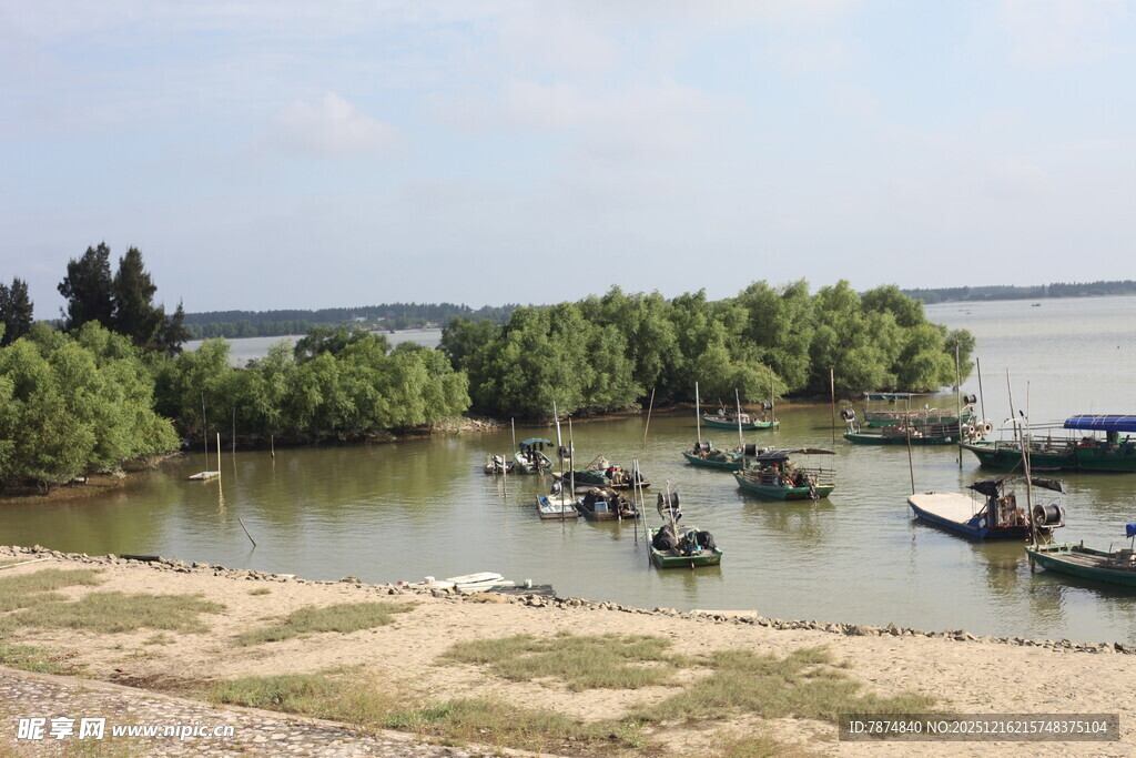 湖畔停泊的船只与葱郁岸景