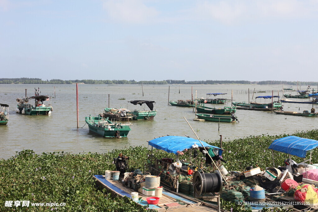 渔村景象岸边人群与水上船只