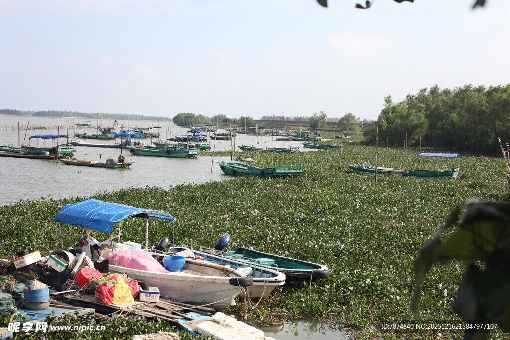 湖畔停泊船只与休闲场景