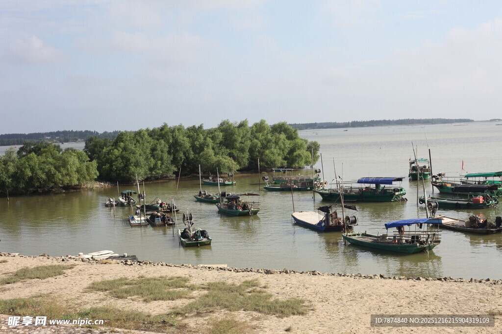河畔停泊的众多船只