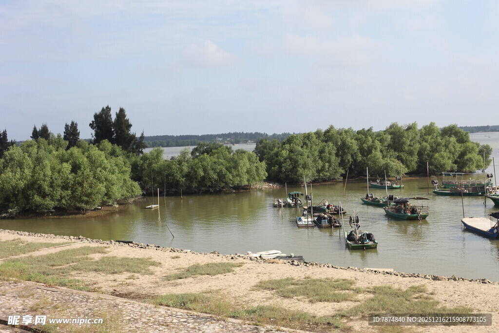 河畔停泊船只的宁静风光
