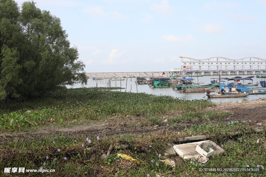 河边景象岸边停泊多艘船只