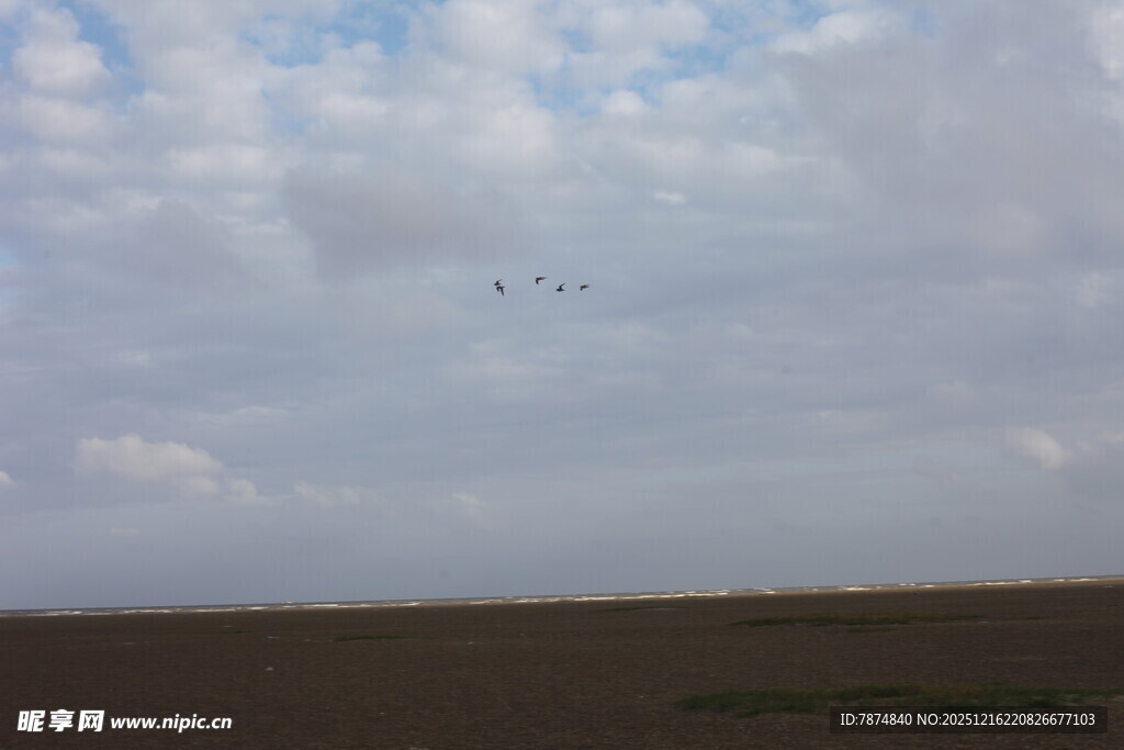 天空中飞翔的编队飞机