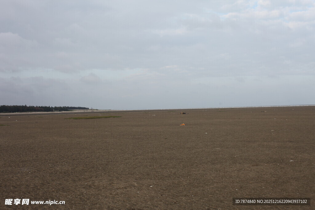 广袤沙地与天际线景观